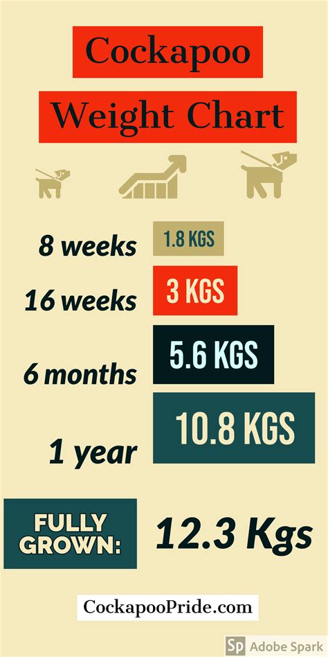 Cockapoo Weight Calculator