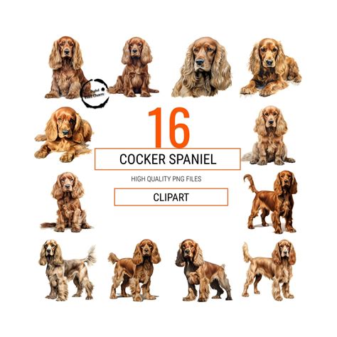 Download Cocker Spaniel Dog For Crafts