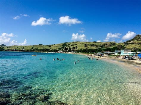 Cockleshell Beach