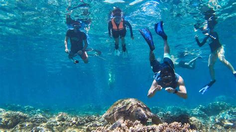 Coco Island Snorkeling