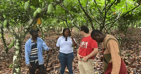 Cocoa Farm Experience