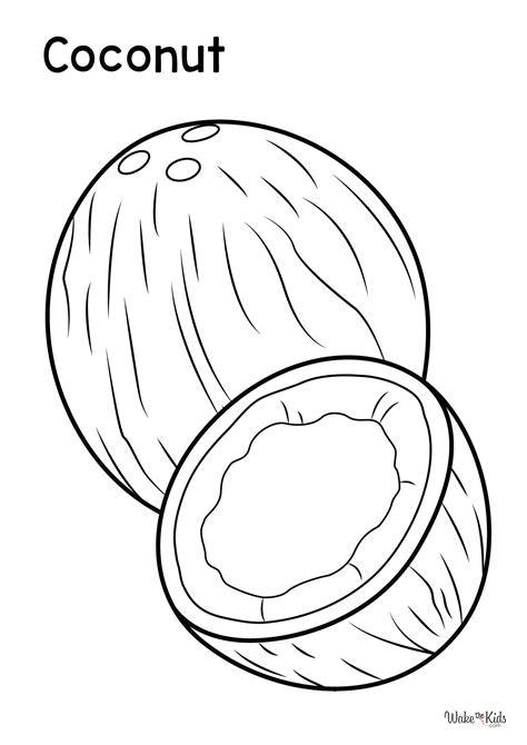 Coconut Coloring Page