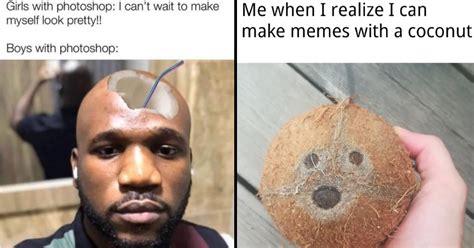 Coconut Meme