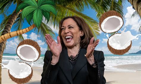 Coconut Memes
