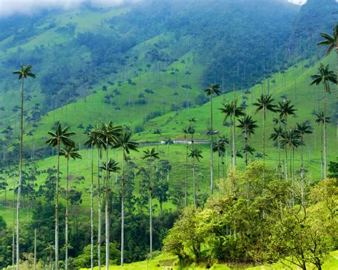 Cocora Valley Transportation