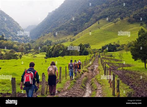 Cocora Valley hiking