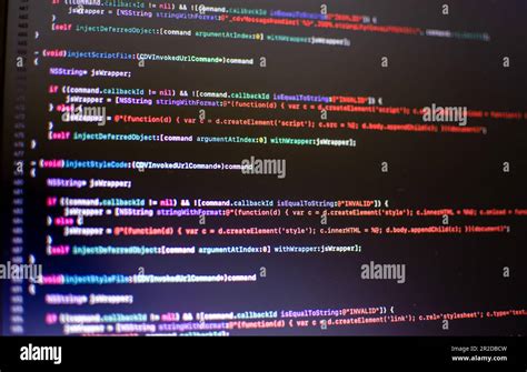 Coding and Programming Services