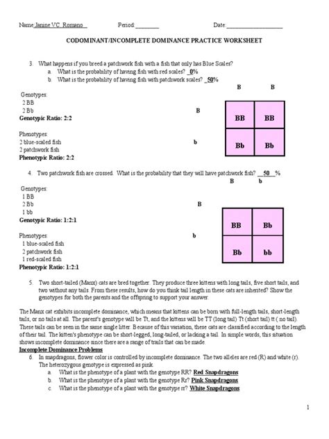 Codominant Incomplete Dominance Practice Worksheet Answer Key