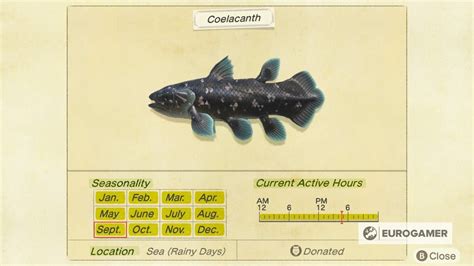 Coelacanth Animal Crossing New Leaf