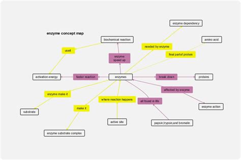 Enzyme Concept Map