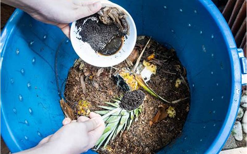 Coffee Grounds As Mulch