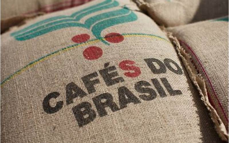 Coffee Stockpiles Of Santos, Brazil