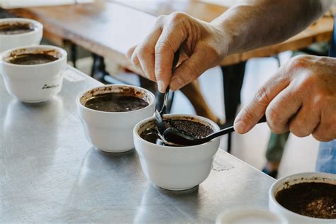 Coffee Cupping Sessions