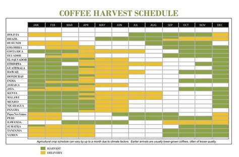 Coffee Harvest Calendar