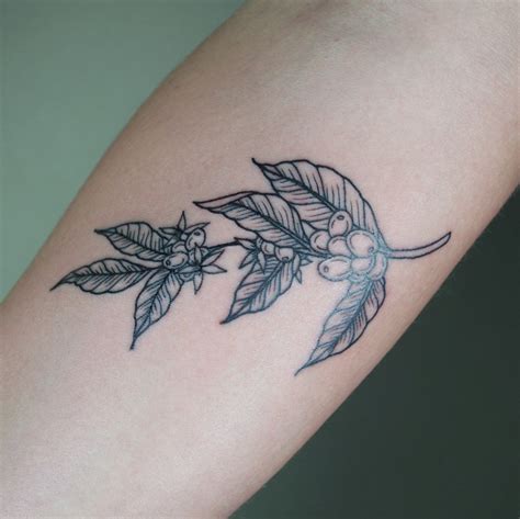 Coffee Plant Tattoo