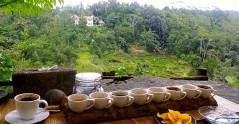 Coffee Plantation Ubud