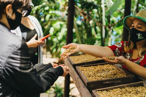 Coffee Tour Improvement