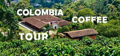 Coffee Villa Tour Colombia