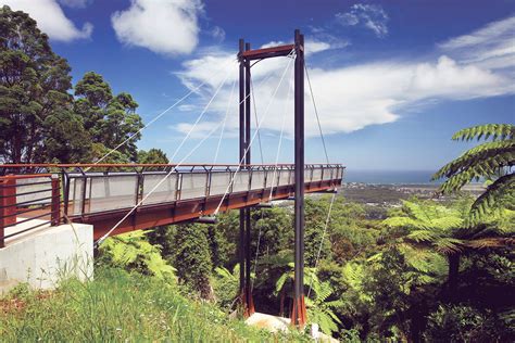 Coffs Harbour forest