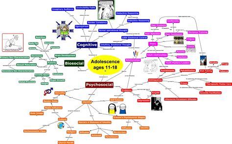 Growth and Development Concept map of Adolescents Safety Concerns Motor