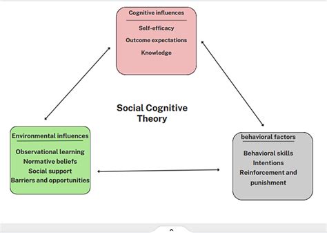 Cognitive-Social Approach