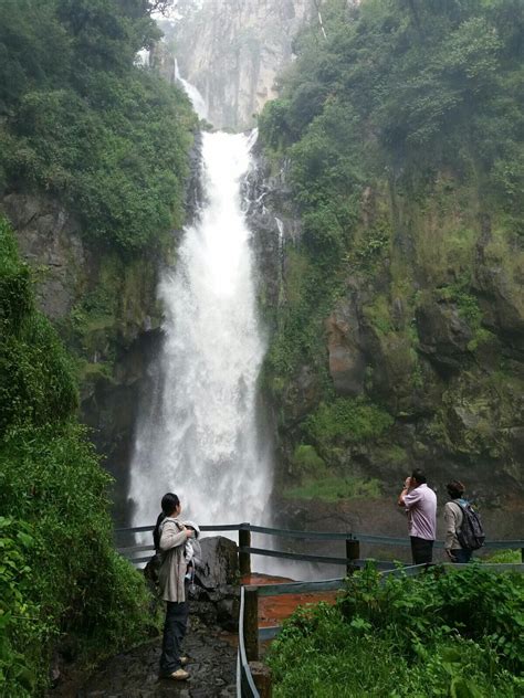 Cola de Caballo Waterfall View