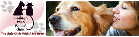 Colbern Road Animal Clinic: Your Trusted Partner for Exceptional Pet Care