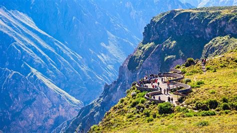 Colca Canyon Tour Options