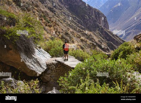 Colca Canyon cabanaconde