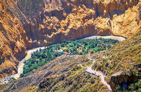 Colca Canyon oasis