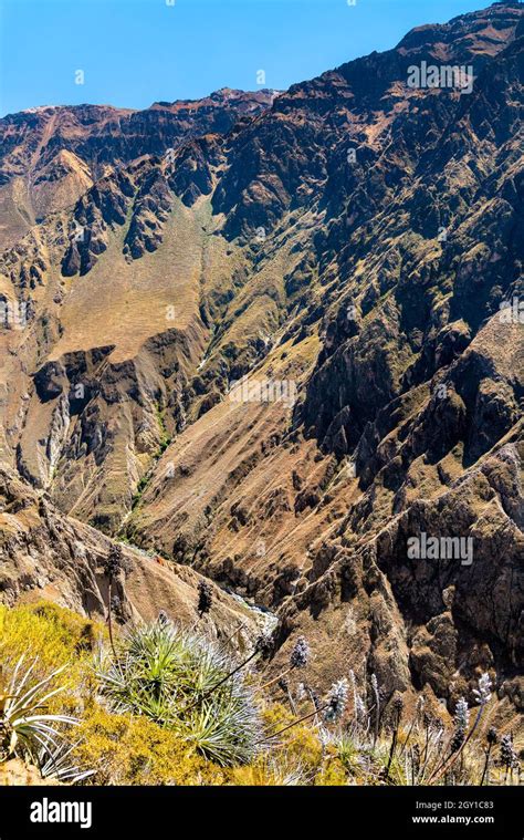 Colca canyon scenery