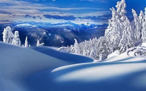 Cold Winter Mountain Scenery
