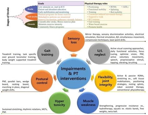 Collaborative Approach in Stroke Assessment