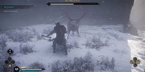 Unleash Your Inner Hunter: Collect Rare Animal Goods in AC Valhalla
