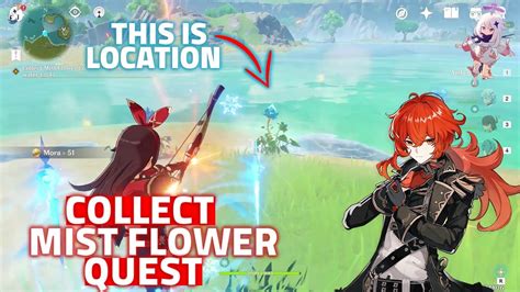 Collect Mist Flower Corolla