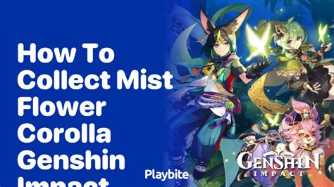 Collecting Mist Flower Corolla