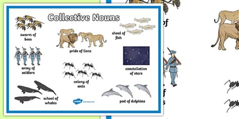 Collective Nouns For Animals Poster