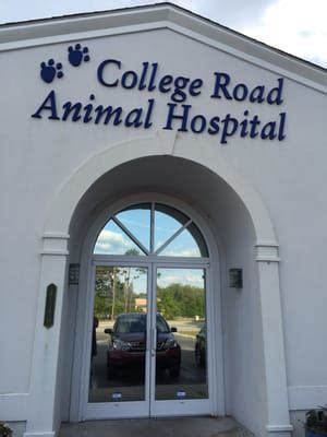 Trustworthy and Comprehensive Veterinary Care at College Road Animal Hospital in Wilmington, NC