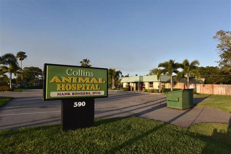 Collins Animal Hospital in Merritt Island, FL - Quality Pet Care for Your Furry Friends