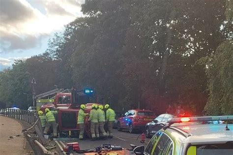 Collision Cure Newmarket