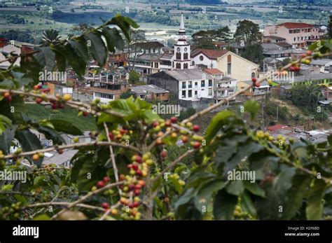 Colombian Coffee Plantations