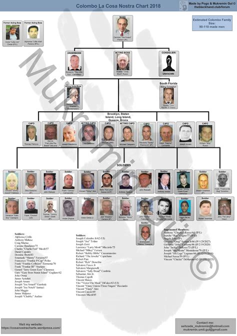Colombo Crime Family Chart