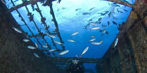 Colombo diving operator