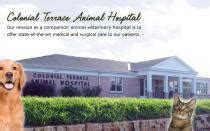 Top-Quality Veterinary Care at Colonial Terrace Animal Hospital in Dubuque, Iowa