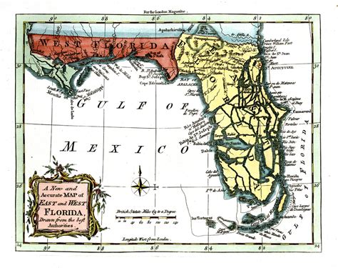 Dentist in Tampa, what is Tampa Bay Florida? Dr. Caputo Palm Harbor