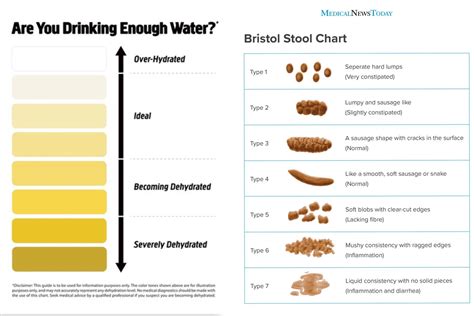 Colonoscopy Prep Guide: Poop Color Checker