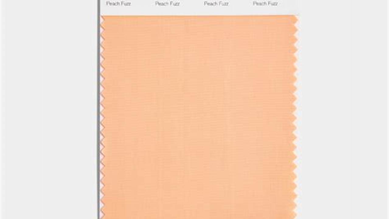 Color Of The Year 2024 Pantone Code Pdf
