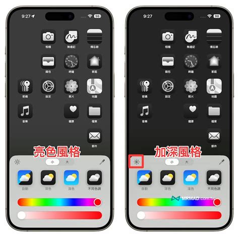 Color, Cut, and Customization Options