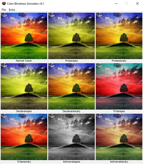 Color Blind Vision Simulator