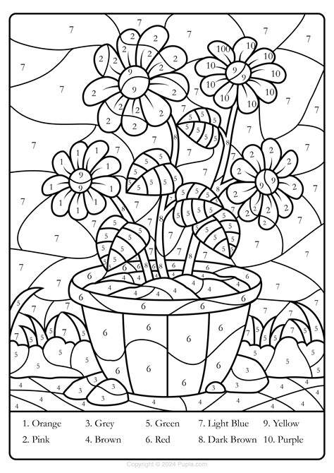 Color By Numbers Flowers